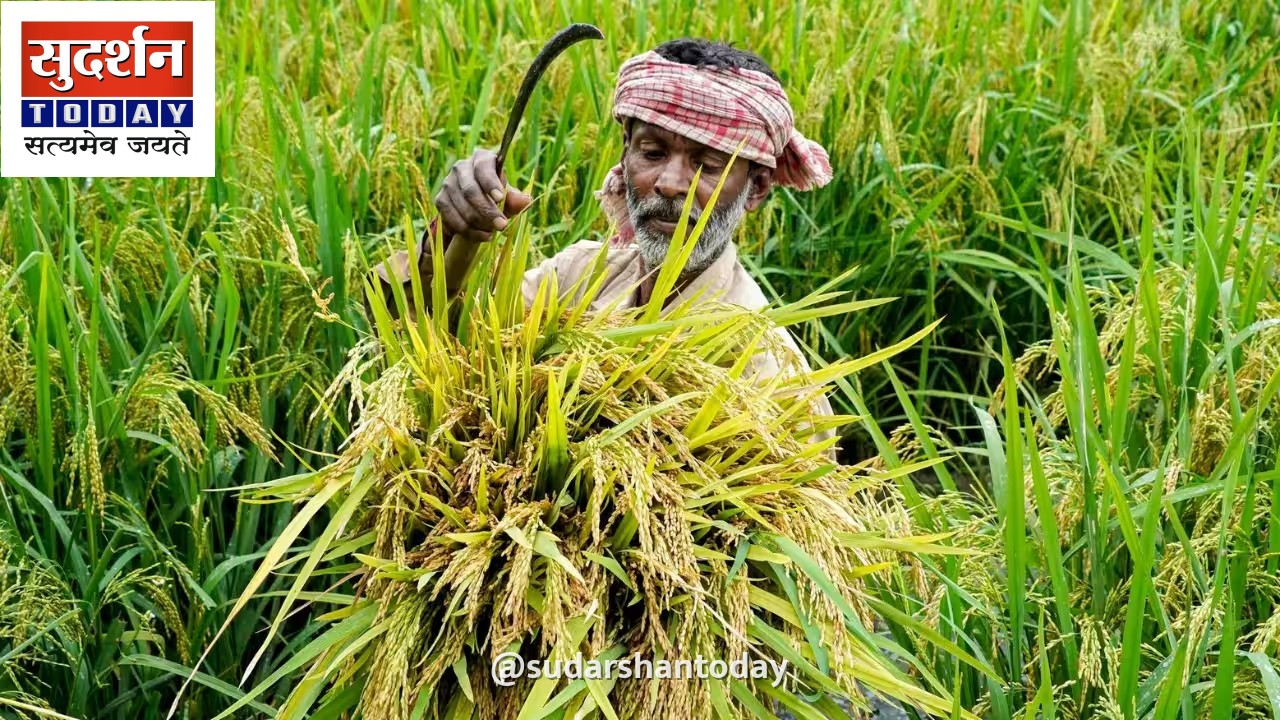 रबी फसलों को सूखे के संकट से बचाने के लिए केंद्र सरकार ने कसी कमर रबी फसलों को सूखे के संकट से बचाने के लिए केंद्र सरकार ने कसी कमर