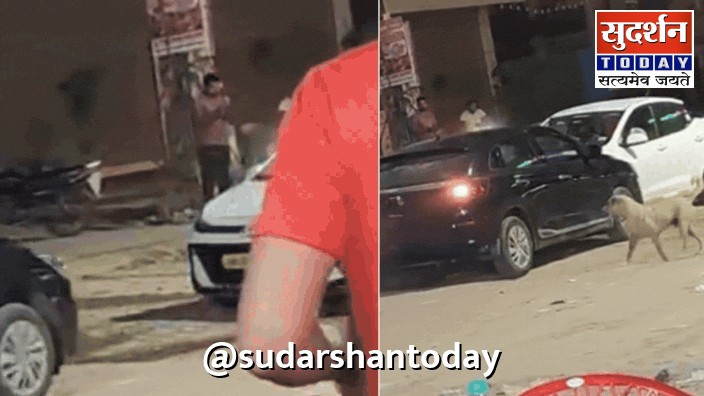 गुरुग्राम में सड़क पर फिर दिखा 'गुंडाराज', सेक्टर 38 में कारों की टक्कर का वीडियो वायरल गुरुग्राम में सड़क पर फिर दिखा 'गुंडाराज', सेक्टर 38 में कारों की टक्कर का वीडियो वायरल