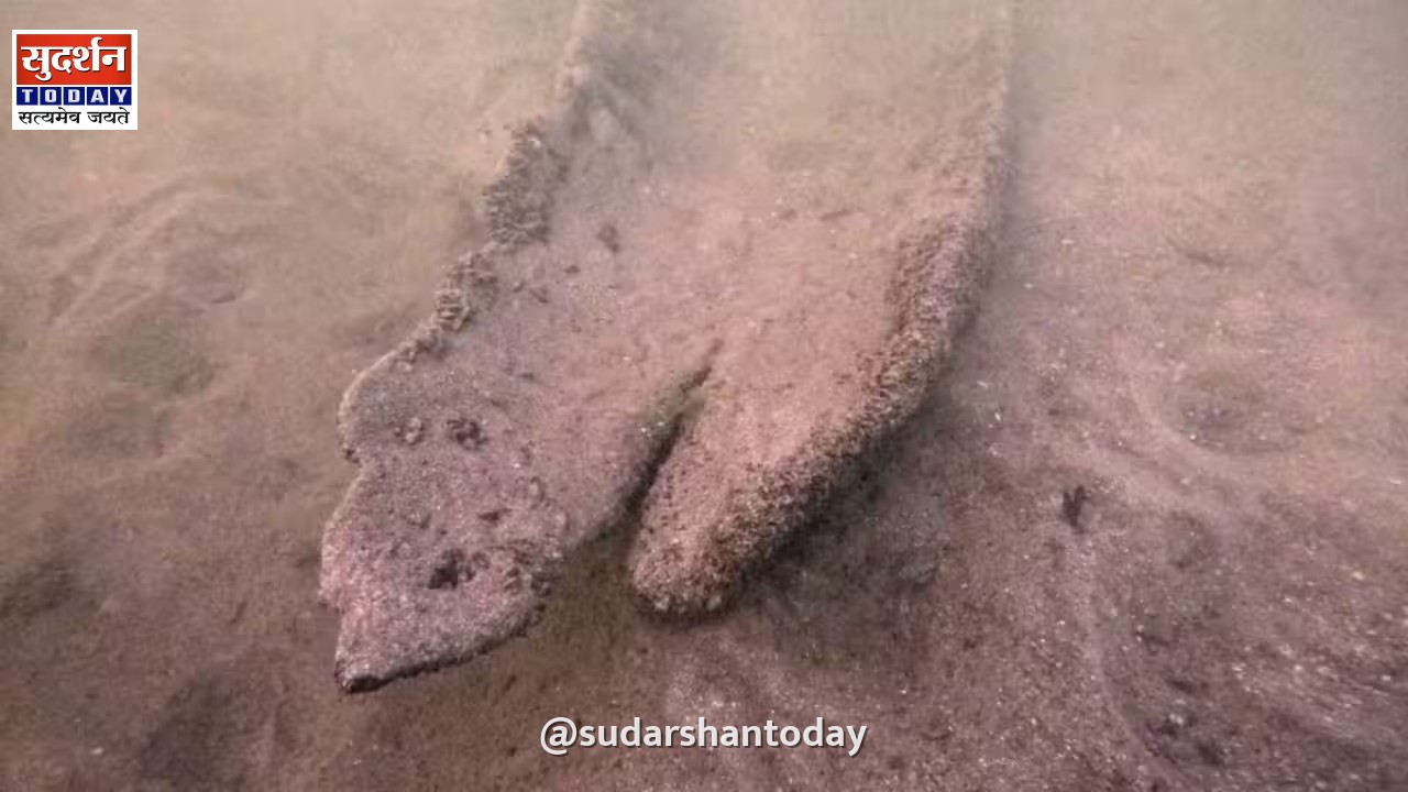 विस्कॉन्सिन की झील में गोताखोर को मिली 1000 साल पुरानी डोंगी, स्वदेशी इतिहास पर बड़ा खुलासा